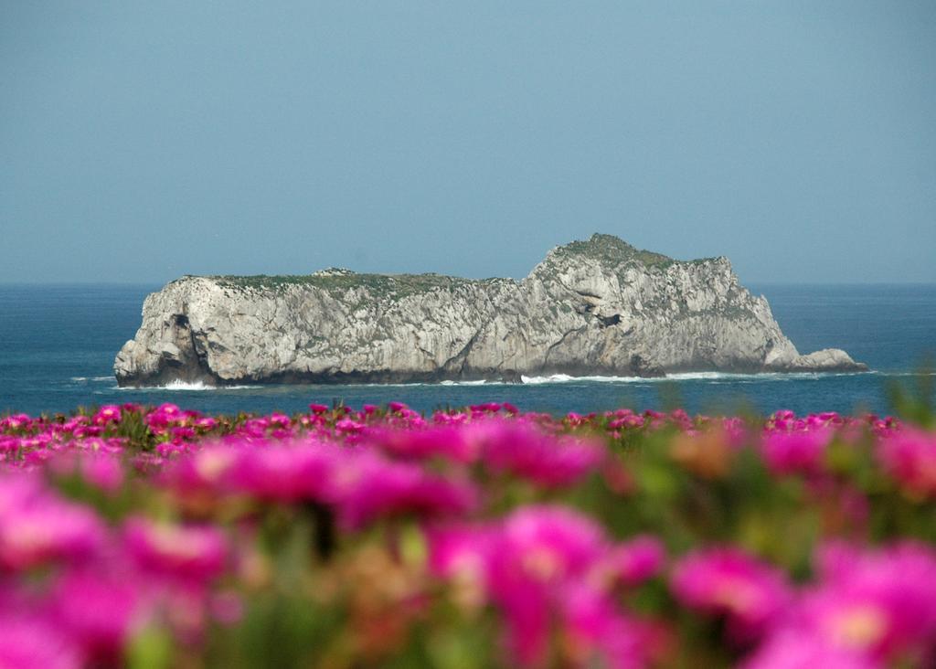 Posada Santa Ana Suances Dış mekan fotoğraf