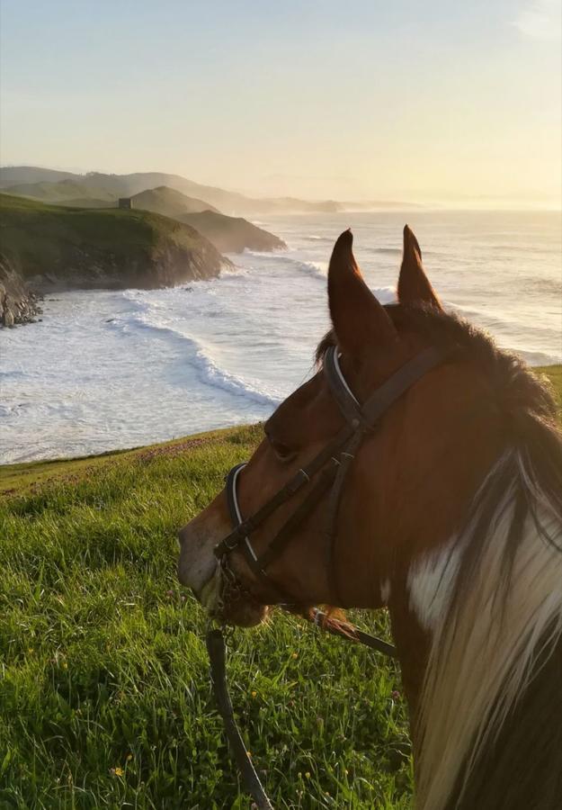 Posada Santa Ana Suances Dış mekan fotoğraf